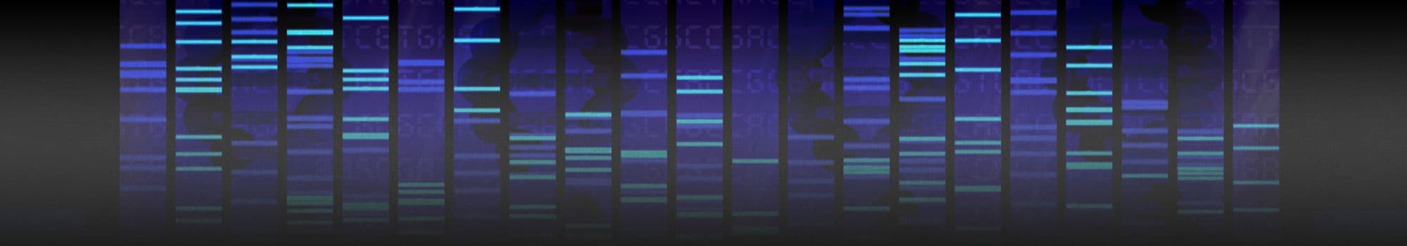 Research Banner